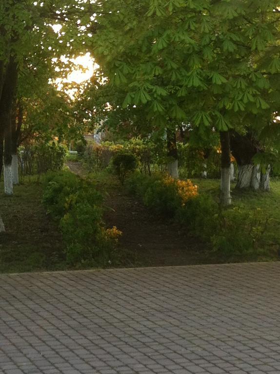 Piroshka Hotel Berehove  Dış mekan fotoğraf